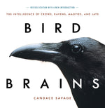 Book cover for Bird Brains: The Intelligence of Crows, Ravens, Magpies, and Jays