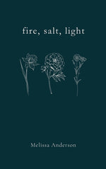 Book cover for fire, salt, light