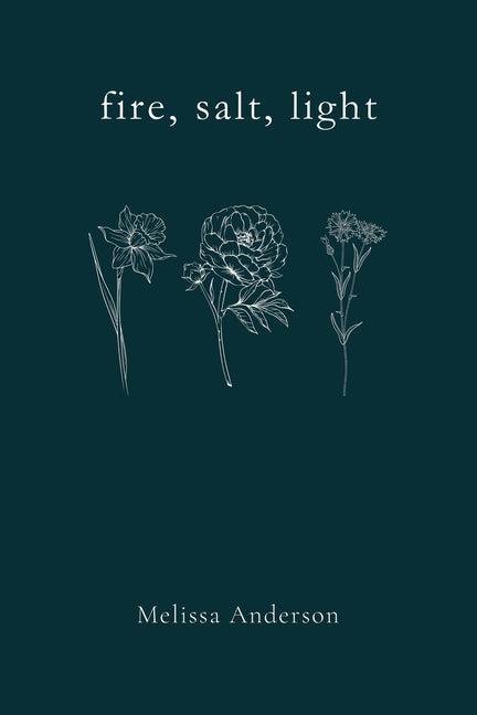 Book cover for fire, salt, light