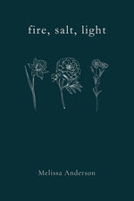 Book cover for fire, salt, light