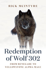 Book cover for The Redemption of Wolf 302: From Renegade to Yellowstone Alpha Male