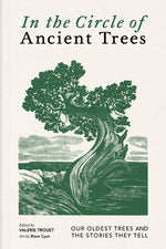 Book cover for In the Circle of Ancient Trees: Our Oldest Trees and the Stories They Tell
