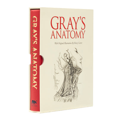 Book cover for Gray's Anatomy: Slip-Case Edition