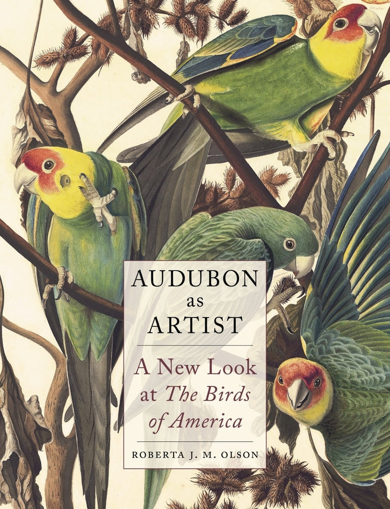 Book cover for Audubon as Artist: A New Look at the Birds of America