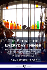 Book cover for The Secret of Everyday Things: The Children's Classic of Scientific Learning - Cloth, Soaps, Metals, Foods, Garden Insects and the Physics of the Wor