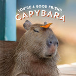 Book cover for You're a Good Friend, Capybara