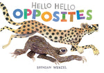 Book cover for Hello Hello Opposites