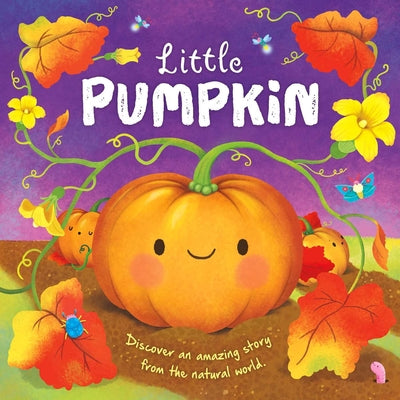 Book cover for Nature Stories: Little Pumpkin-Discover an Amazing Story from the Natural World: Padded Board Book
