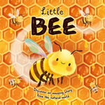 Book cover for Nature Stories: Little Bee-Discover an Amazing Story from the Natural World: Padded Board Book