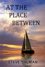 Book cover for At The Place Between