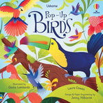 Book cover for Pop-Up Birds