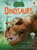 Book cover for Dinosaurs