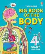Book cover for Big Book of the Body