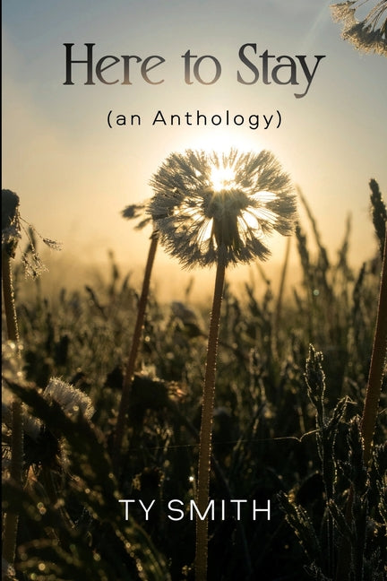 Book cover for Here to Stay (an Anthology)