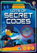 Book cover for Lots of Secret Codes
