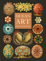Book cover for Ocean Art: From the Shore to the Deep