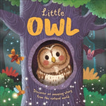 Book cover for Nature Stories: Little Owl-Discover an Amazing Story from the Natural World: Padded Board Book