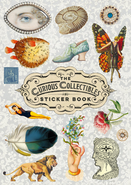 Book cover for Curious Collections Sticker Book