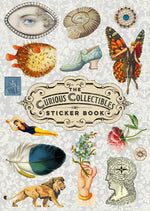 Book cover for Curious Collections Sticker Book