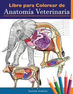 Book cover for Libro para colorear de anatomía veterinaria: Libro de trabajo para colorear de autoevaluación de fisiología animal para estudiar y relajarse Un regalo