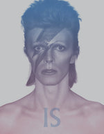 Book cover for David Bowie Is: Inside the Visionary World of David Bowie