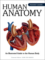 Book cover for Human Anatomy: An Illustrated Guide to the Human Body