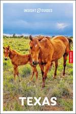 Book cover for Insight Guides Texas: Travel Guide with eBook