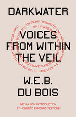 Book cover for Darkwater: Voices from Within the Veil