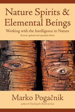 Book cover for Nature Spirits & Elemental Beings: Working with the Intelligence in Nature