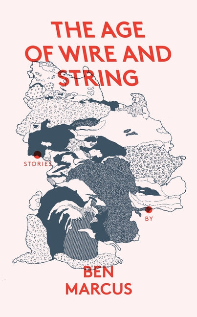 Book cover for Age of Wire and String