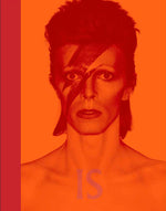 Book cover for David Bowie Is: Inside the Visionary World of David Bowie