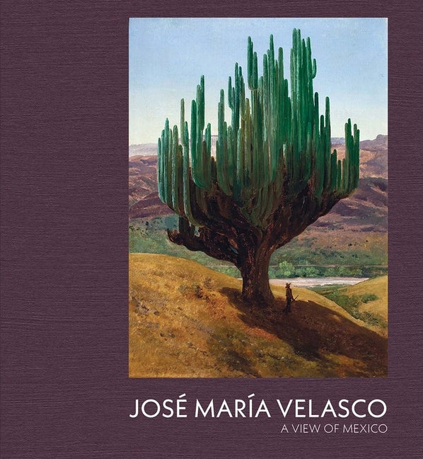 Book cover for Jose Maria Velasco: A View of Mexico