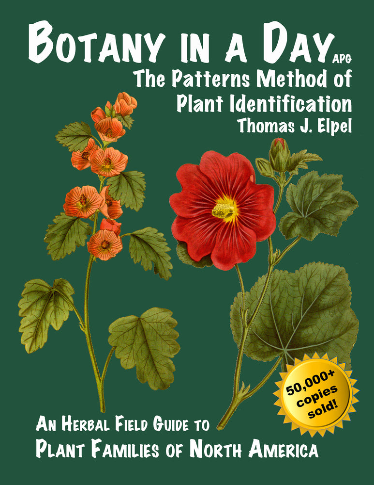 Book cover for Botany in a Day: The Patterns Method of Plant Identification