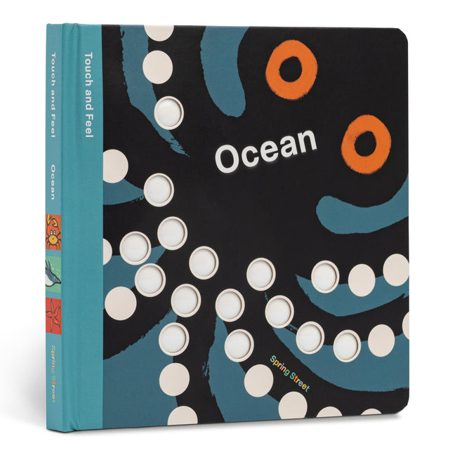 Book cover for Spring Street Touch and Feel: Ocean