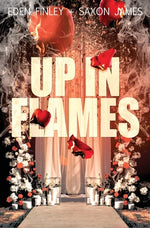 Book cover for Up in Flames