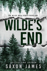 Book cover for Wilde's End