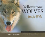 Book cover for Yellowstone Wolves in the Wild