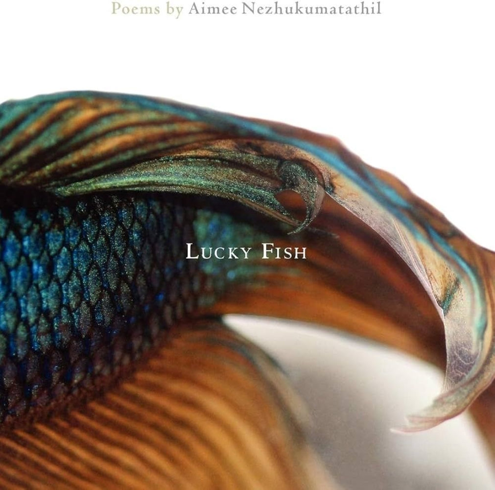 Book cover for Lucky Fish