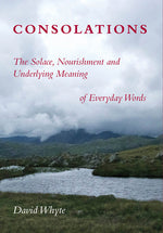 Book cover for Consolations: The Solace, Nourishment and Underlying Meaning of Everyday Words