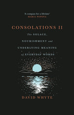 Book cover for Consolations II: The Solace, Nourishment and Underlying Meaning of Everyday Words