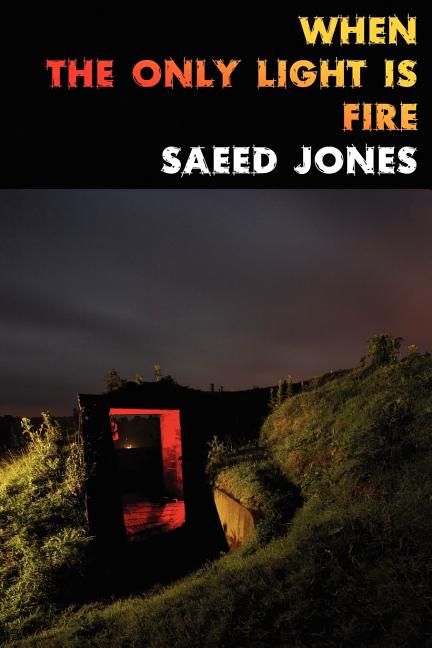 Book cover for When the Only Light Is Fire