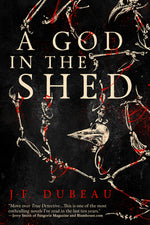 Book cover for A God in the Shed