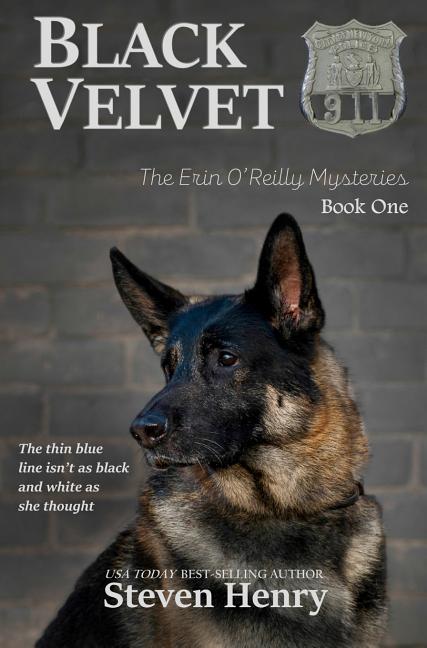 Book cover for Black Velvet