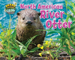 Book cover for North American River Otter