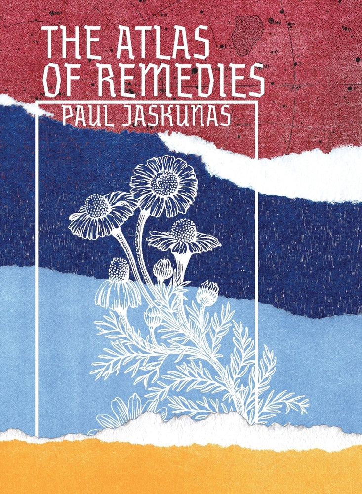 Book cover for The Atlas of Remedies