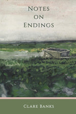 Book cover for Notes on Endings