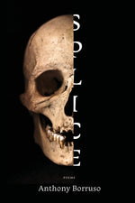 Book cover for Splice