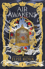 Book cover for Air Awakens (Year Anniversary)