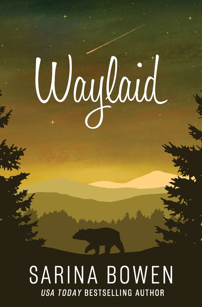 Book cover for Waylaid