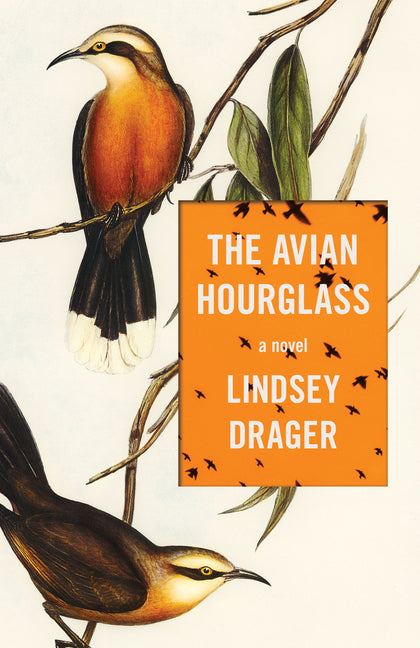 Book cover for Avian Hourglass